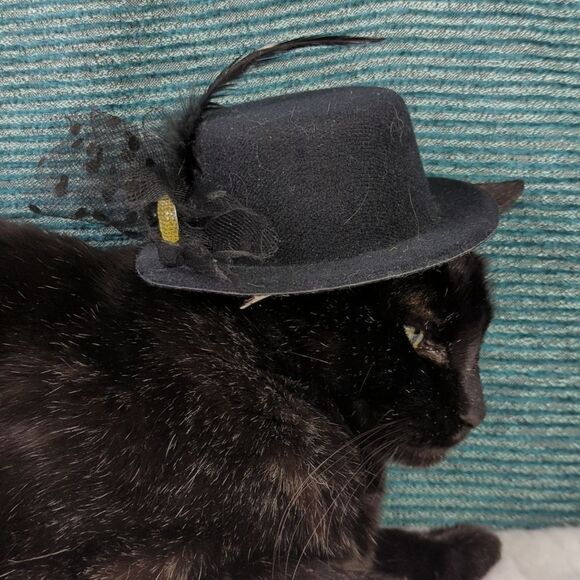Costume Hat For Pets - Picture 2 of 12